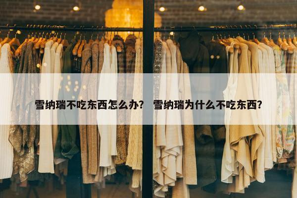 雪纳瑞不吃东西怎么办？ 雪纳瑞为什么不吃东西？