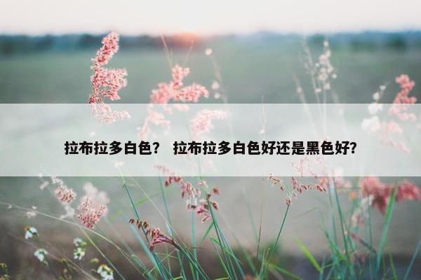 拉布拉多白色？ 拉布拉多白色好还是黑色好？