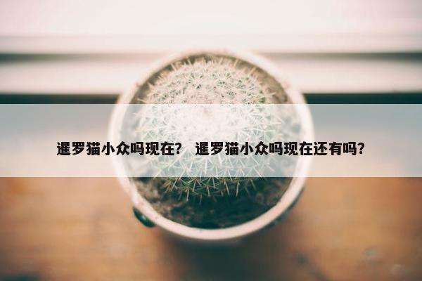 暹罗猫小众吗现在？ 暹罗猫小众吗现在还有吗？