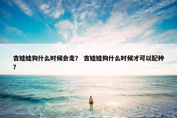吉娃娃狗什么时候会走？ 吉娃娃狗什么时候才可以配种？