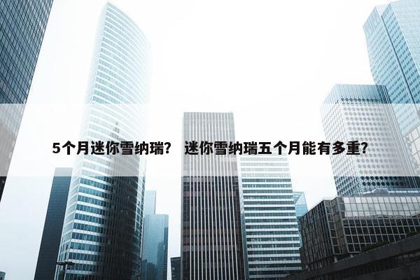 5个月迷你雪纳瑞？ 迷你雪纳瑞五个月能有多重？