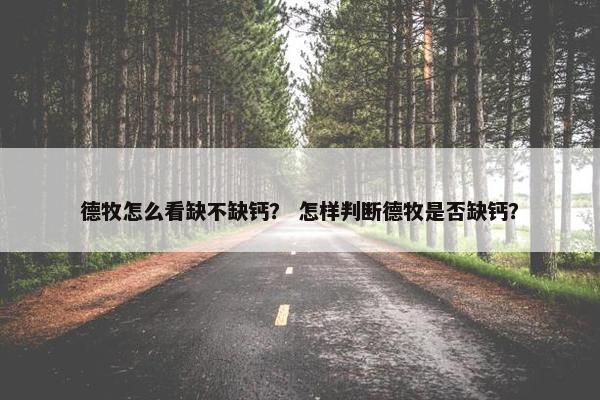 德牧怎么看缺不缺钙？ 怎样判断德牧是否缺钙？