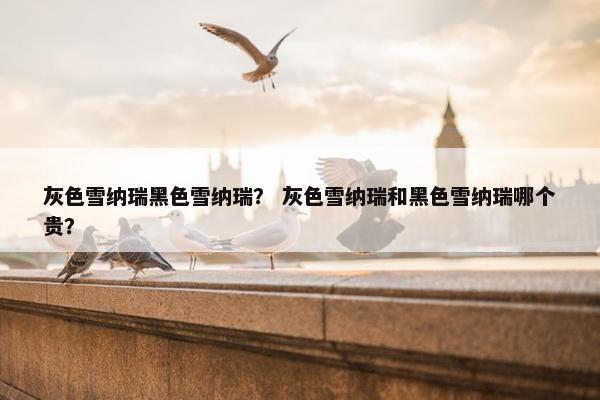 灰色雪纳瑞黑色雪纳瑞？ 灰色雪纳瑞和黑色雪纳瑞哪个贵？