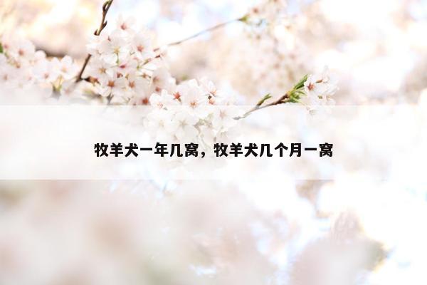 牧羊犬一年几窝，牧羊犬几个月一窝