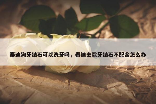 泰迪狗牙结石可以洗牙吗，泰迪去除牙结石不配合怎么办