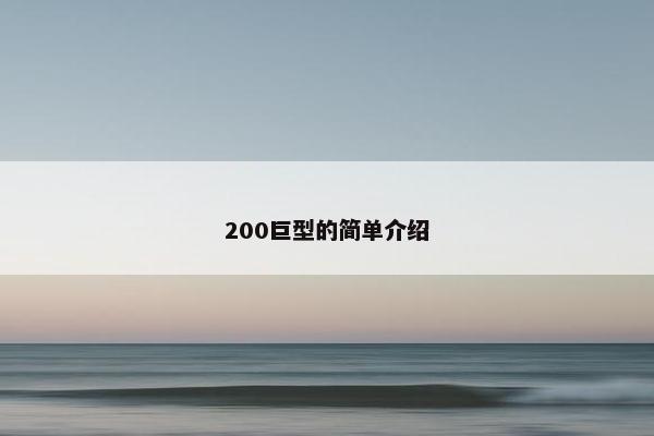 200巨型的简单介绍