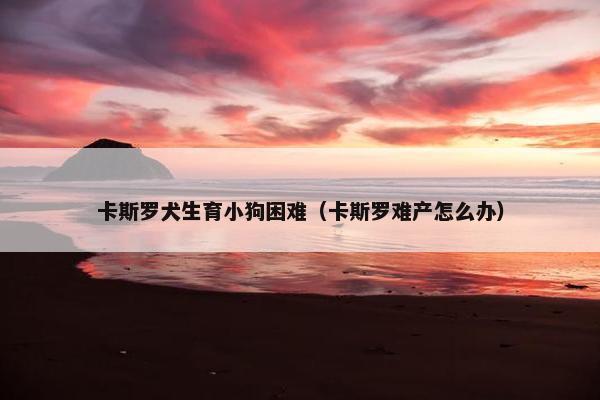 卡斯罗犬生育小狗困难（卡斯罗难产怎么办）
