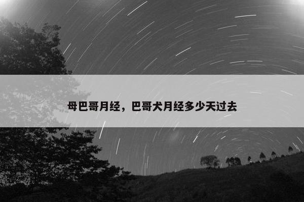 母巴哥月经，巴哥犬月经多少天过去