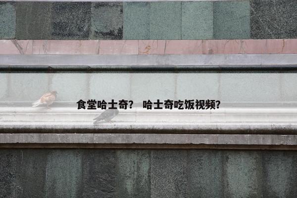 塞翁