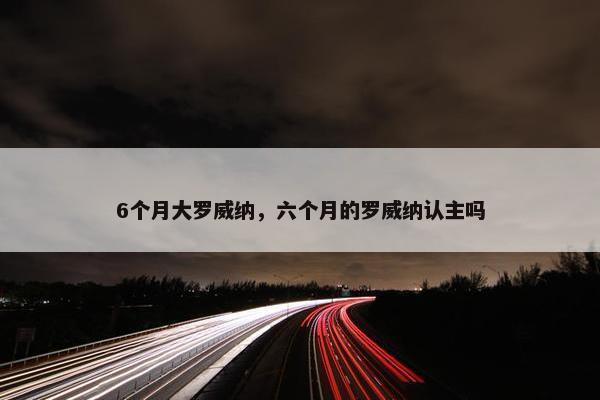 6个月大罗威纳，六个月的罗威纳认主吗