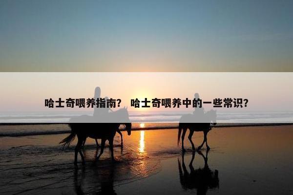 哈士奇喂养指南？ 哈士奇喂养中的一些常识？