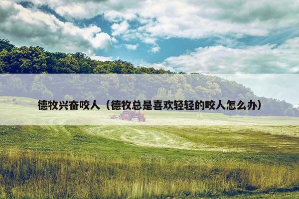 德牧兴奋咬人（德牧总是喜欢轻轻的咬人怎么办）