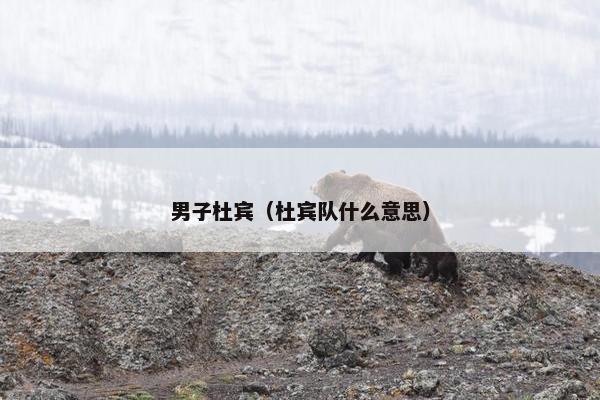男子杜宾（杜宾队什么意思）
