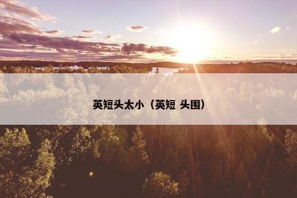 英短头太小（英短 头围）