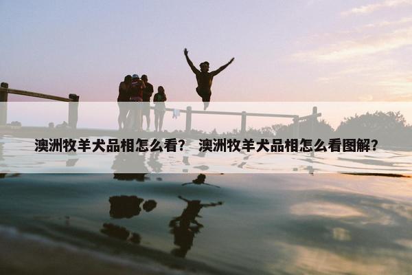 澳洲牧羊犬品相怎么看？ 澳洲牧羊犬品相怎么看图解？