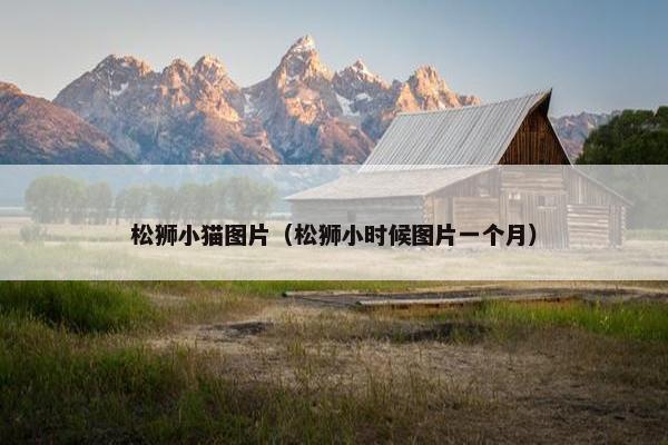 脂肪