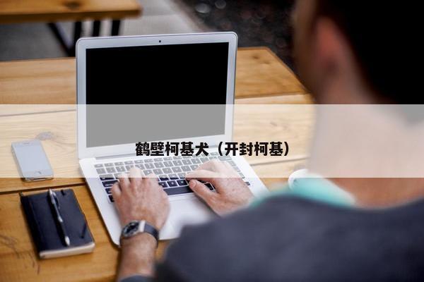 鹤壁柯基犬（开封柯基）