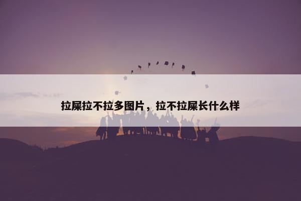 拉屎拉不拉多图片，拉不拉屎长什么样