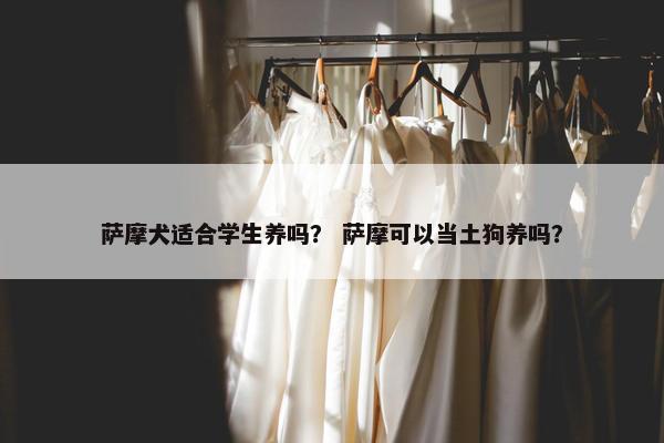 萨摩犬适合学生养吗？ 萨摩可以当土狗养吗？
