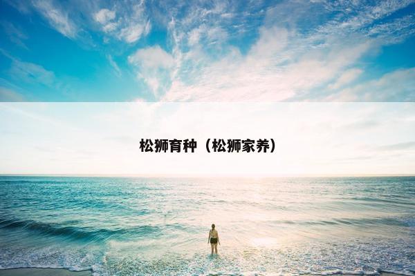松狮育种（松狮家养）