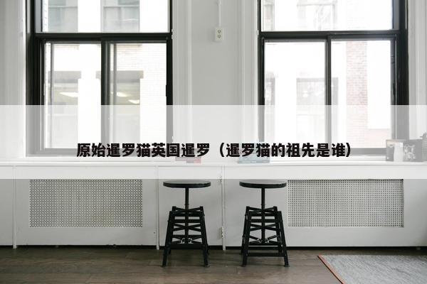 原始暹罗猫英国暹罗（暹罗猫的祖先是谁）