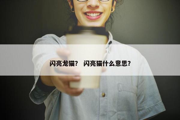 闪亮龙猫？ 闪亮猫什么意思？