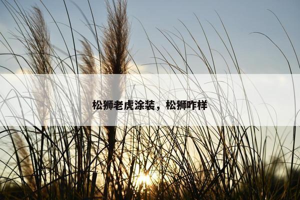 松狮老虎涂装，松狮咋样