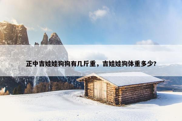 正中吉娃娃狗狗有几斤重，吉娃娃狗体重多少?