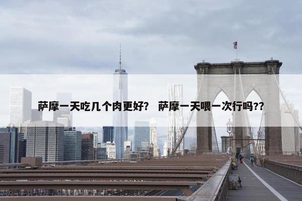 萨摩一天吃几个肉更好？ 萨摩一天喂一次行吗?？