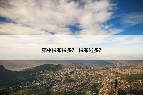 猫中拉布拉多？ 拉布啦多？