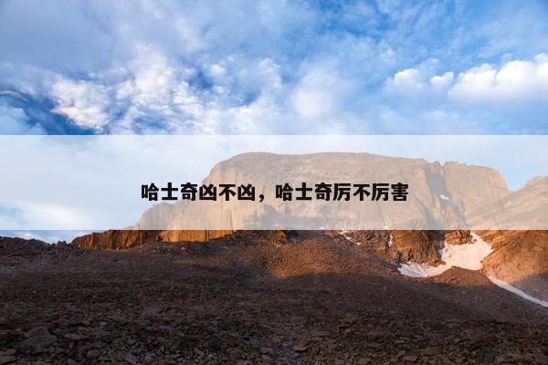 哈士奇凶不凶，哈士奇厉不厉害