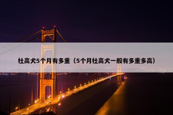 杜高犬5个月有多重（5个月杜高犬一般有多重多高）