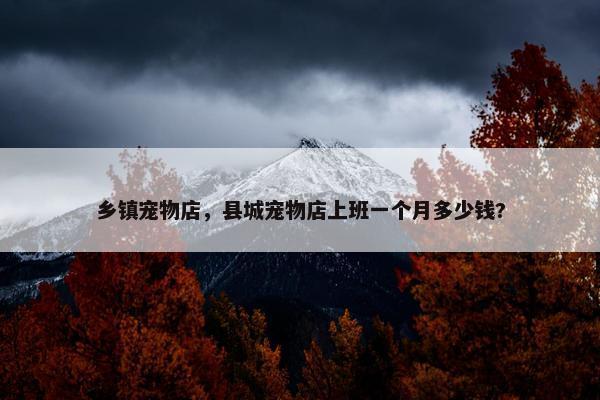 乡镇宠物店，县城宠物店上班一个月多少钱?
