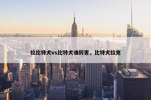 拉比特犬vs比特犬谁厉害，比特犬拉克
