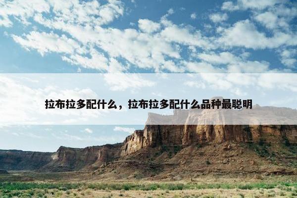 拉布拉多配什么，拉布拉多配什么品种最聪明