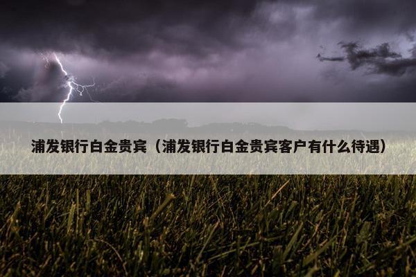 浦发银行白金贵宾（浦发银行白金贵宾客户有什么待遇）