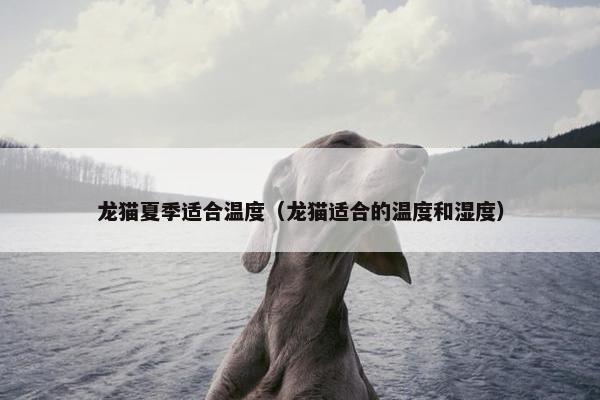 龙猫夏季适合温度（龙猫适合的温度和湿度）