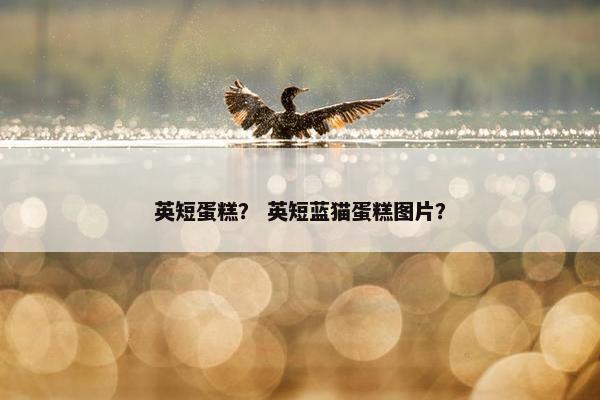 英短蛋糕？ 英短蓝猫蛋糕图片？