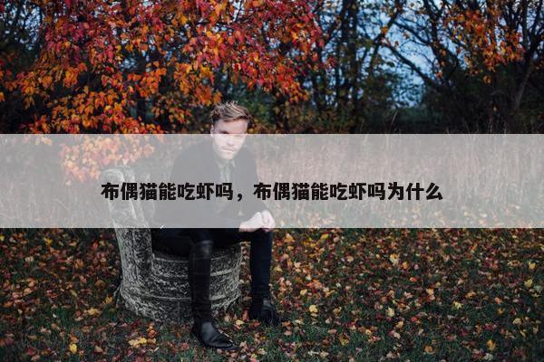 布偶猫能吃虾吗，布偶猫能吃虾吗为什么