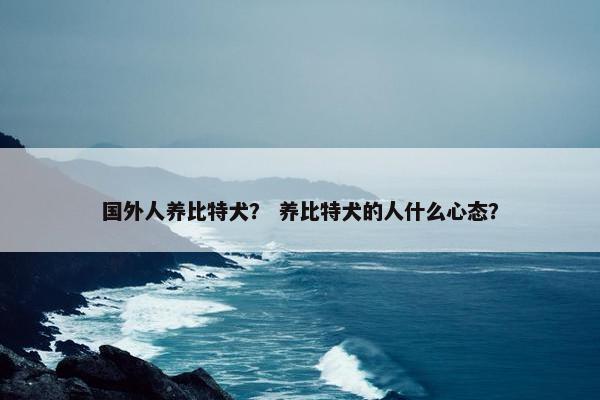 国外人养比特犬？ 养比特犬的人什么心态？