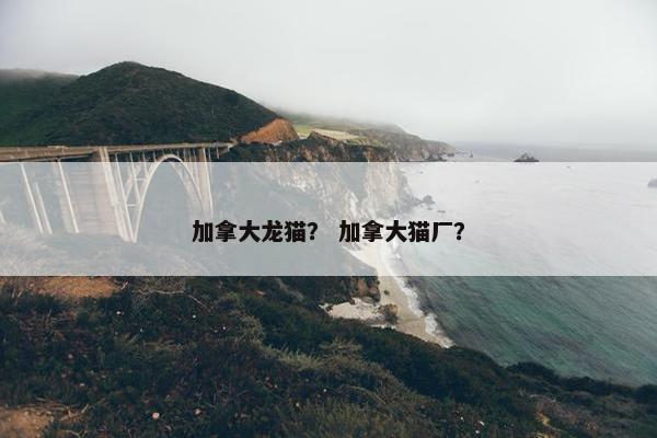 加拿大龙猫？ 加拿大猫厂？