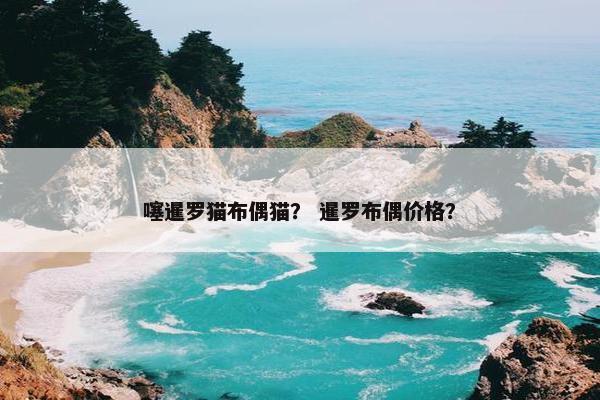 噻暹罗猫布偶猫？ 暹罗布偶价格？