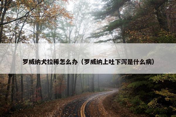 罗威纳犬拉稀怎么办（罗威纳上吐下泻是什么病）
