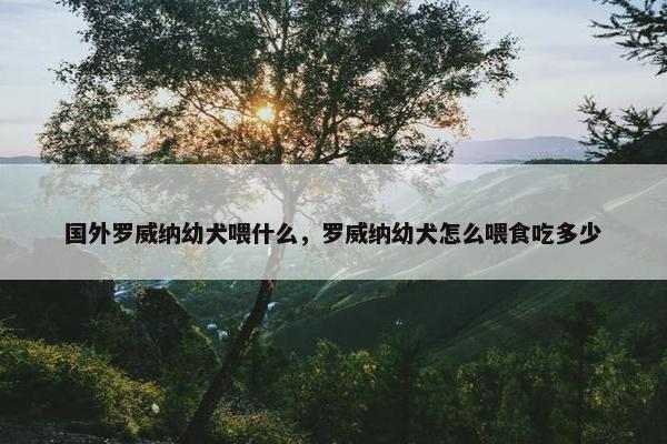 国外罗威纳幼犬喂什么，罗威纳幼犬怎么喂食吃多少