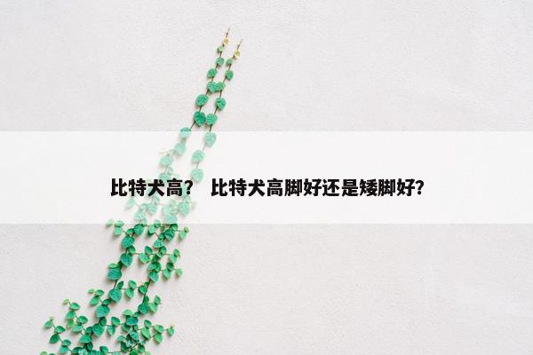 比特犬高？ 比特犬高脚好还是矮脚好？