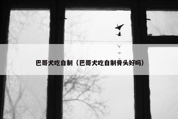 巴哥犬吃自制（巴哥犬吃自制骨头好吗）