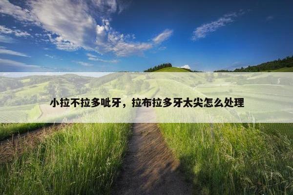 小拉不拉多呲牙，拉布拉多牙太尖怎么处理