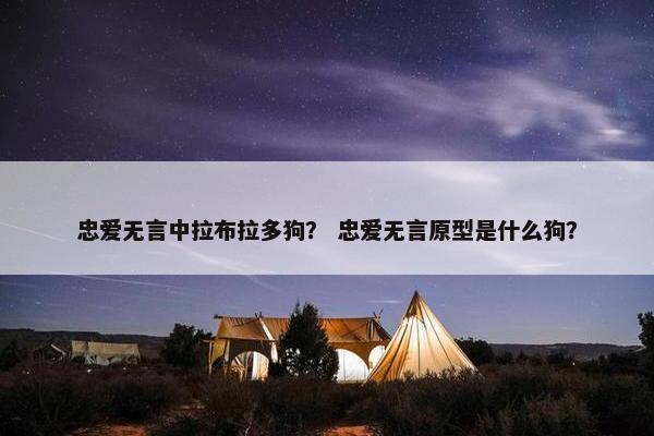 忠爱无言中拉布拉多狗？ 忠爱无言原型是什么狗？