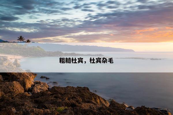 粗糙杜宾，杜宾杂毛