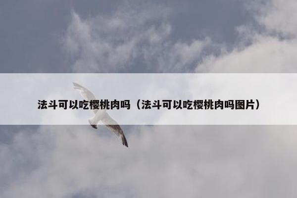 法斗可以吃樱桃肉吗（法斗可以吃樱桃肉吗图片）